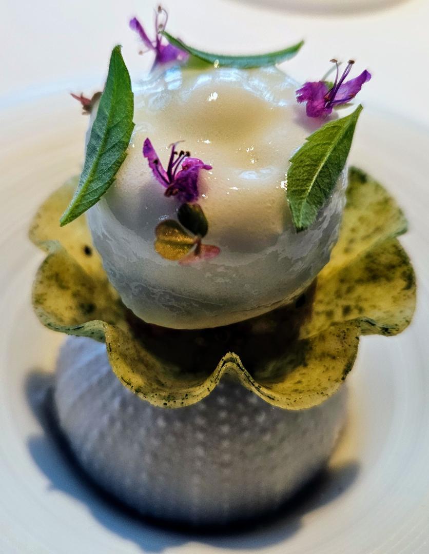 Fine dining by Stephanie & Arnaud de Klerk - 6 December 2024