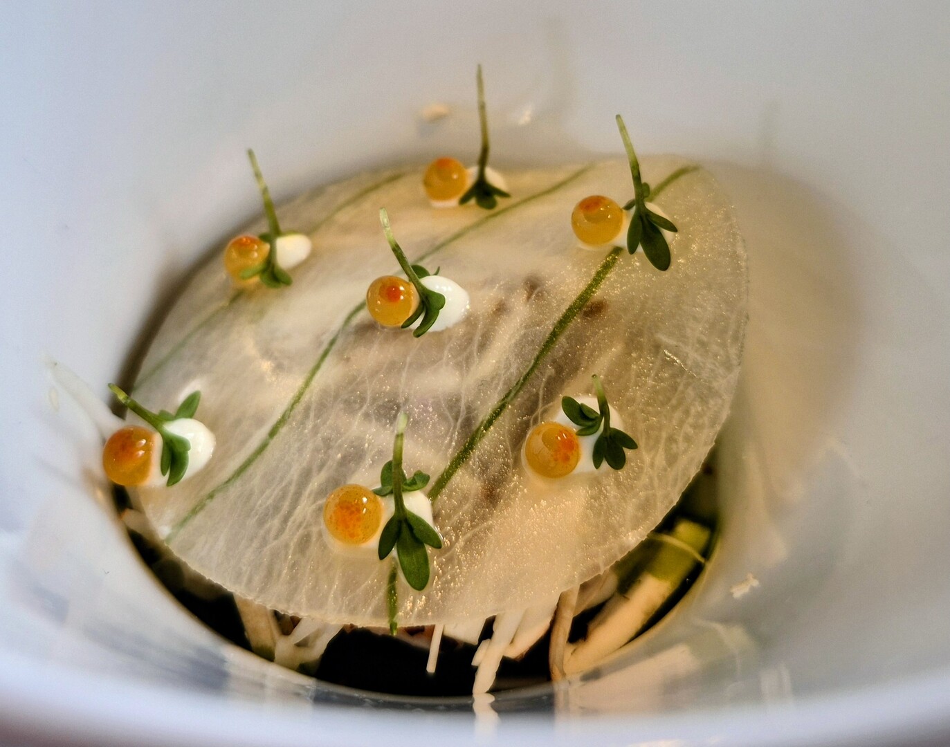 Fine dining by Stephanie & Arnaud de Klerk - 20 May 2026