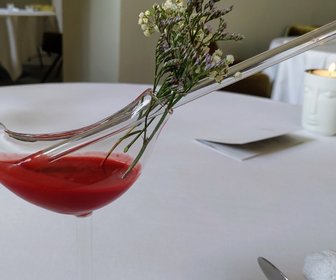 Kasteel Heemstede (Houten), mijn bezoek op 25 augustus 2021, foto 11 van 19