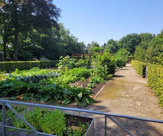 Beum (Dorst), mijn bezoek op 19 juli 2022, foto 2 van 4