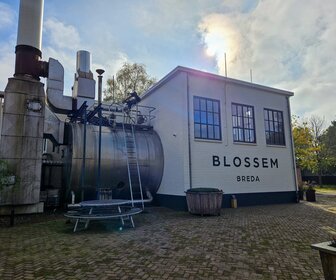 Blossem (Breda), mijn bezoek op 18 oktober 2024, foto 10 van 16