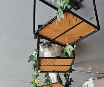 The Coffee Cat (Almere), mijn bezoek op 2 augustus 2025, foto 3 van 7