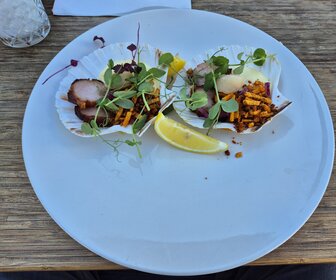 Strandclub Zee (Scharendijke), mijn bezoek op 25 augustus 2025, foto 4 van 12