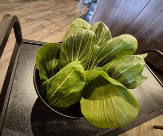 Sorae Hot Pot (Eindhoven), mijn bezoek op 1 maart 2026, foto 7 van 24
