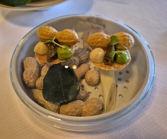 Noeti (Oosterhout), mijn bezoek op 18 oktober 2026, foto 4 van 50