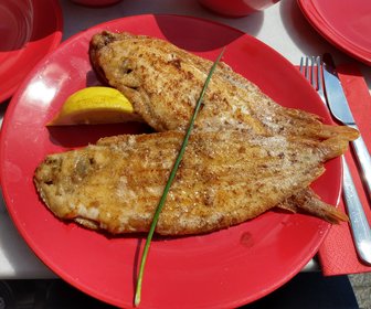 Eten & Drinken BY Brigitte (Bavel), mijn bezoek op 14 augustus 2019, foto 5 van 5